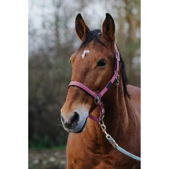 Ohlávka EQUITHEME Spring pink FULL