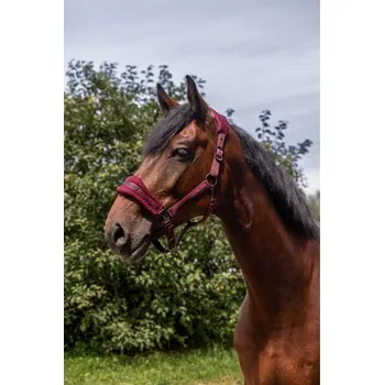 Ohlávka EQUITHEME 3D Mesh burgundy PONY
