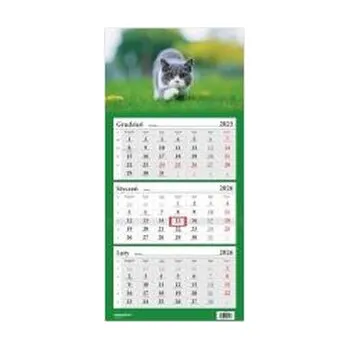 Kalendář Kalendarz 2026 trójdzielny Kot brytyjski HELMA