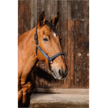 Ohlávka EQUITHEME Domino royal blue FULL