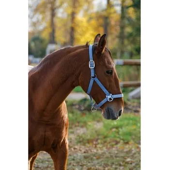 Ohlávka EQUITHEME Spring blue FULL