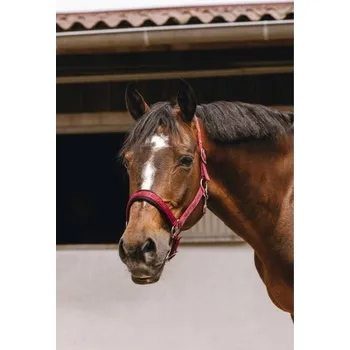 Ohlávka EQUITHEME Jacquard burgundy FULL