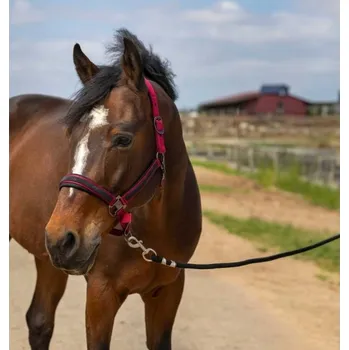 Ohlávka EQUITHEME Nylon Strass burgundy PONY