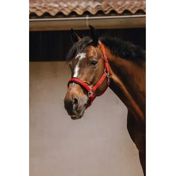 Ohlávka EQUITHEME Jacquard red COB