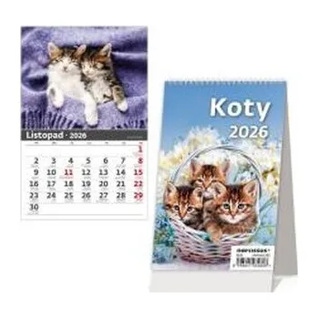 Diář Kalendarz 2026 biurkowy pionowy miesięczny HELMA