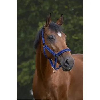 Ohlávka NORTON Nylon Neopren královsky modrá/černá COB