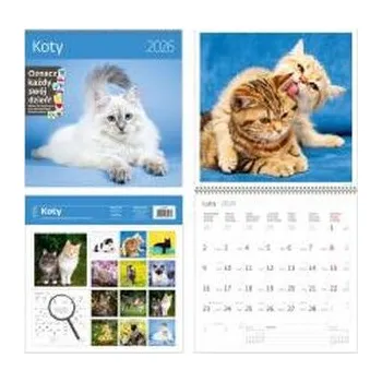 Kalendář Kalendarz 2026 ścienny 30x30 Koty HELMA