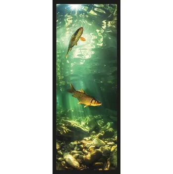 Doplněk ke knize Sběratelská záložka - České ryby 1