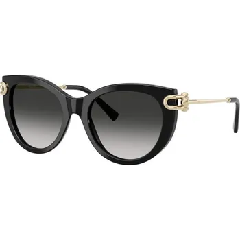Sluneční brýle TIFFANY & CO. TF4232 80013C