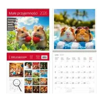 Kalendář Kalendarz 2026 ścienny 30x30 Przyjemności HELMA