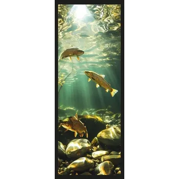 Doplněk ke knize Sběratelská záložka - České ryby 5