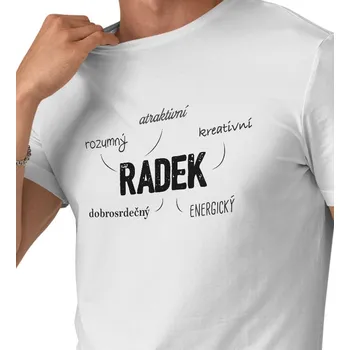 Pánské tričko Pánské triko bílé - Radek 3XL