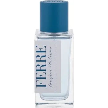 Pánský parfém Gianfranco Ferre Fougere Italiano M EDT 30 ml