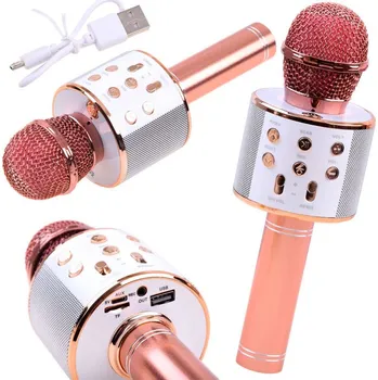 Hudební nástroj pro děti Bezdrátový mikrofon Karaoke Růžová
