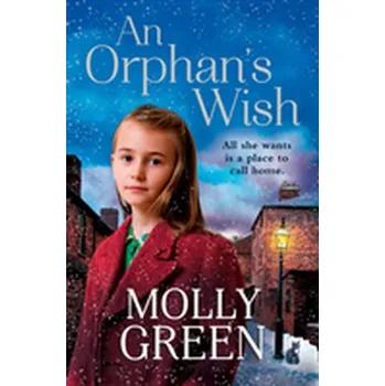 An Orphan's Wish - Green, Molly