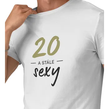 Pánské tričko Pánské triko - 20 a stále sexy 4XL