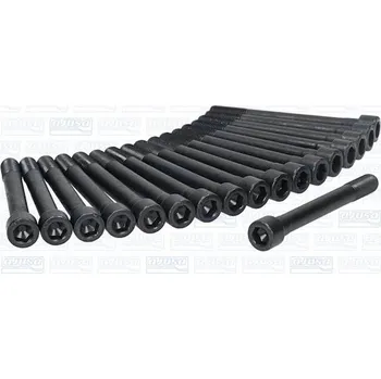 Spojovací materiál motoru Sada šroubů hlavy válce AJUSA 81057200