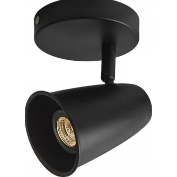 Bodové svítidlo Stropní bodové svítidlo Aisilan otočné, 1 zdroj světla, černé