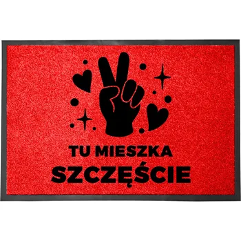 Rohožka Hotová rohožka z plastu, PVC 60 x 40 cm