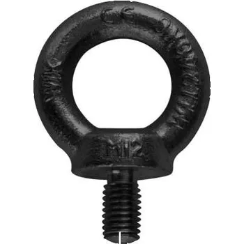Věšák Riggatec Eyebolt M12 | black | WLL 340kg