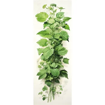 Doplněk ke knize Sběratelská záložka - Bylinky 5