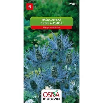 Semeno Máčka alpská (modrá) 12/2025