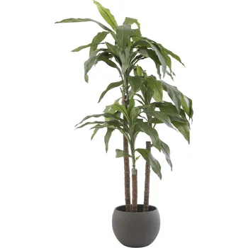 umělá květina Umělá rostlina Dracena, 100 cm, zelená 966130