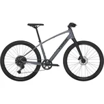 TREK Dual Sport 3 Gen 5 Barva: Galactic Grey, Velikost: XS