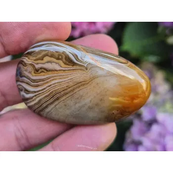 Sběratelství Sardonyx achát sardonyx 40g