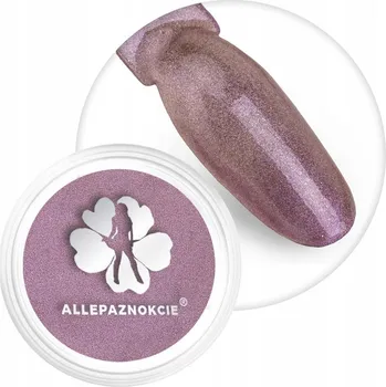 ALLEPAZNOKCIE Pudr Ozdoby Na Nechty 2g Chameleonový efekt Růžový Č. 6
