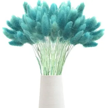 Party dekorace 60 ks Sušená Pampas Tráva, Květiny