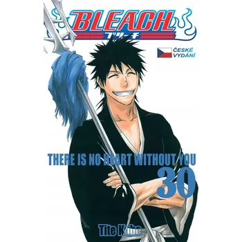 Cizí jazyk Bleach 30: There is no heart without you Tite Kubo