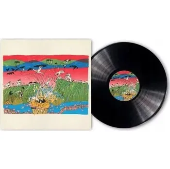 Zahraniční hudba Vinylová Deska Tindersticks See My Girls