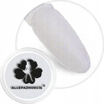 Třpytivý prach na nehty, ozdoba ALLEPAZNOKCIE 2g, třpytky v dóze Č. 90