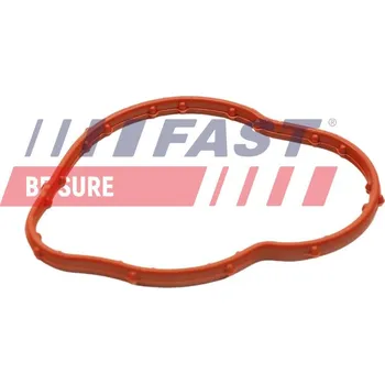 Těsnění, termostat FAST (FT58305)