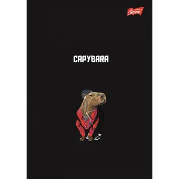 Sešit Sešit A5 linkovaný Unipap 60 listů