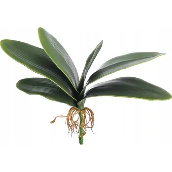 umělá květina GUMOVÉ LISTY ORCHIDEJE S KOŘENY ORCHIDEJ LIST