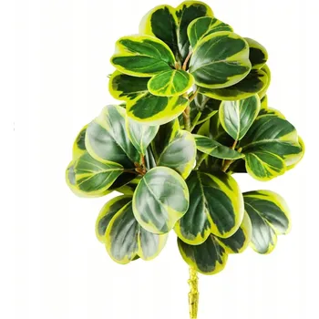 umělá květina Umělý Květ Fíkovník s Velkými Listy, Rostlina v Květináči, Zelená 10