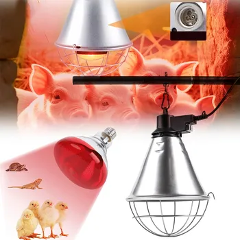 250W INFRAČERVENÁ VÝHŘEVNÁ LAMPA PRO DRŮBEŽ, TEPELNÁ LAMPA