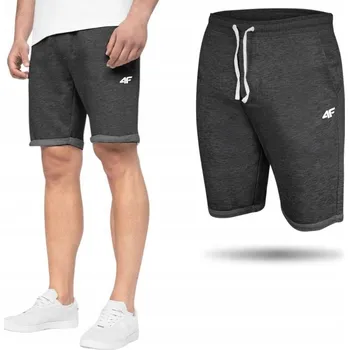 Pánské kraťasy kraťasy 4F velikost L