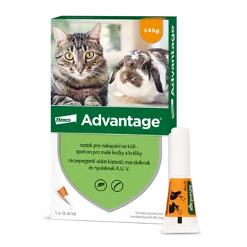 Antiparazitikum pro kočku Advantage 40 mg roztok pro nakapání na kůži – spot-on pro malé kočky a králíky 1 x 0.4 ml