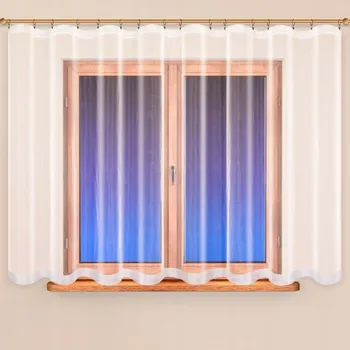 Obraz Klasická polyester Klasická záclona 300 cm x 120