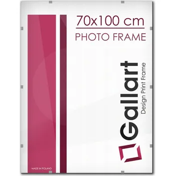Obraz Rámeček na jednu fotografii Gallart 100 x 70 cm