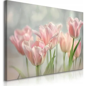 Obraz OBRAZ CANVAS RŮŽOVÉ TULIPÁNY KVĚTY ROSTLINY PŘÍRODA DO JÍDELNY OBÝVÁKU 90x60