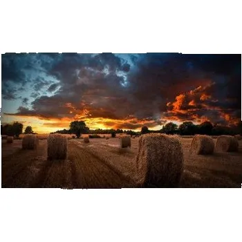 Televizor 46" LED Samsung VM46T-U - FHD,500cd,VW,24/7