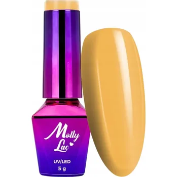 Přípravek na nehty Hybridní lak na nehty MOLLYLAC 5g AntiDepressant South Bay Č. 494