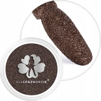 Prach na nehty, ozdoba - třpytky ALLEPAZNOKCIE 2g, brokat v dózičce Č.55