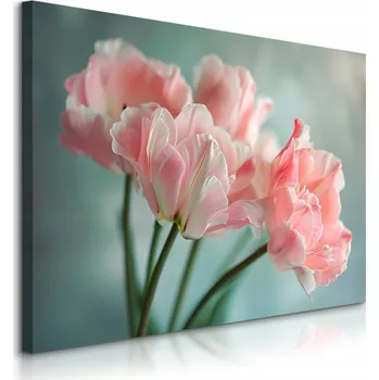 Obraz OBRAZ CANVAS DO OBÝVÁKU JÍDELNY RŮŽOVÉ TULIPÁNY KVĚTINY PŘÍRODA ROSTLINY 30x20