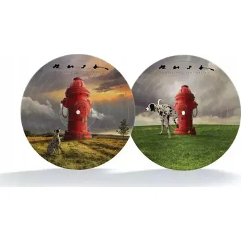 Zahraniční hudba Signals Rush Vinylová Deska