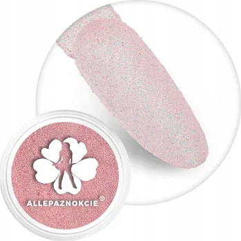 Brokát na nehty, zdobení v dózičce ALLEPAZNOKCIE 2g Růžový Pink Č.119